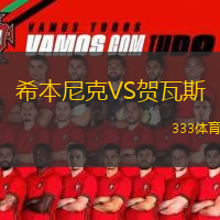 希本尼克VS贺瓦斯